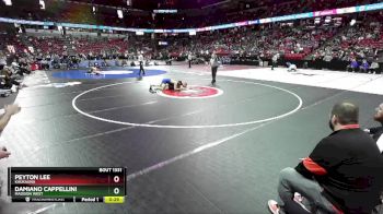 D1-157 lbs 3rd Place Match - Damiano Cappellini, Madison West vs Peyton Lee, Kaukauna