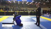 CHRISTOPHER FOY vs KEVIN MIRANDA 2024 Pan Jiu Jitsu IBJJF Championship