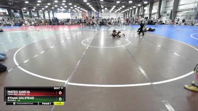 80 lbs Rd# 6- 9:00am Saturday Final Pool - Mateo Garcia, Team New Mexico vs Ethan Halstead, Olympia