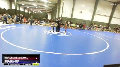 49-56 lbs Cons. Semi - Radek Crook-Hutsler, White River Hornets Wrestling Club vs Declan Larsen, Salem Elite Mat Club