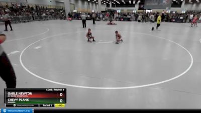 49 lbs Cons. Round 3 - Gable Newton, DC Elite Wrestling vs Chevy Plank, Kansas