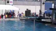 Replay: 1 Meter Springboard - Red - 2022 2022 AAU Diving National Championships | Jul 19 @ 3 PM