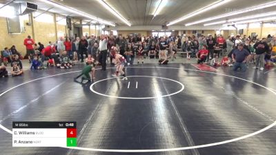 M 85 lbs Quarterfinal - Cooper Williams, Bloomsburg vs Penelope Anzano, North Rose