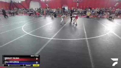 75-85 lbs Round 3 - Brinley Mlsna, WI vs Kali DeClercq, IL