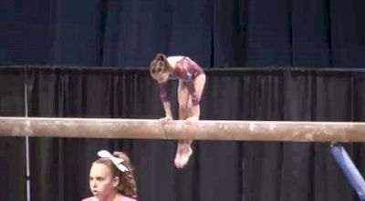 North Stars (Ashley Foss)