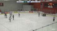 Replay: Home - 2024 Mercyhurst vs Sault College | Mar 12 @ 1 PM