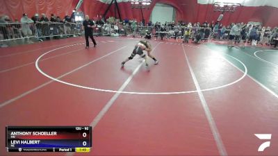 92 lbs Round 1 - Anthony Schoeller, MN vs Levi Halbert, NE