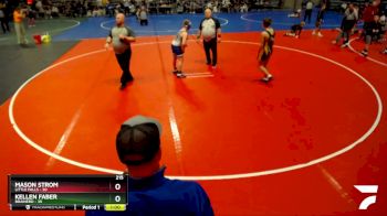 215 lbs Semis & 1st Wrestleback (8 Team) - Cayden Neisen, Little Falls vs David Borgen, Brainerd