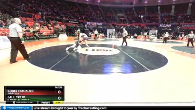 1A 120 lbs Champ. Round 1 - Bodee Fathauer, Shelbyville vs Saul Trejo, Elmhurst (IC Catholic)