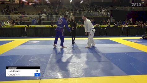 DAVID L. COWLES vs ROBERTO RUIZ 2024 Pan Jiu Jitsu IBJJF Championship