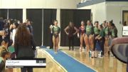 Kyra Figurelli - Vault, Brockport - 2022 NCGA Championships