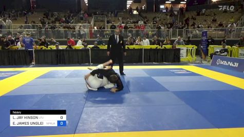 LANDON JAY HINSON vs ETHAN JAMES UNGLEICH 2024 Pan Jiu Jitsu IBJJF Championship