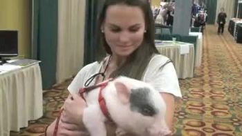 Anne & Bacon