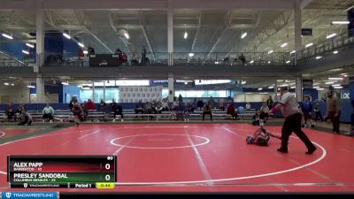 80 lbs Round 2 (8 Team) - Presley Sandobal, Columbus Desales vs Alex Papp, Barberton