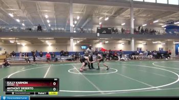 90 lbs Finals (2 Team) - Anthony Deserto, Medina Highland vs Sully Karmon, Graham