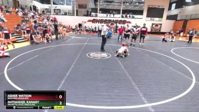 62 lbs Round 2 - Nathanael Kanagy, Palmetto State Wrestling vs Asher Watson, Backyard Brawlers