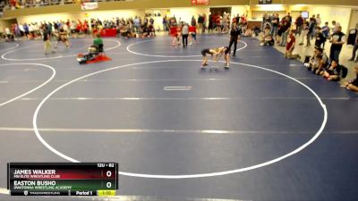 82 lbs Champ. Round 2 - James Walker, MN Elite Wrestling Club vs Easton Busho, Owatonna Wrestling Academy