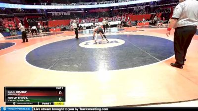 1A 145 lbs Champ. Round 1 - Blue Bishop, Herrin (H.S.) vs Drew Torza, Yorkville (Christian)