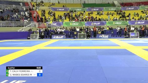 THAMIRIS CALVI FERREIRA vs CLARISSA NABES SOARES MÁRTIRES 2024 Brasileiro Jiu-Jitsu IBJJF