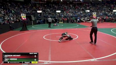 55 lbs Quarterfinal - Troy Meiring, DWC3 vs Jackson Weyant, CRT2