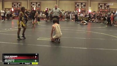 96 lbs Round 2 (6 Team) - Cameron Lewis, Triumph WC vs Jax Sgrulletta, SVRWC Silver