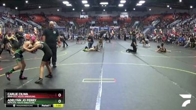 43 lbs Semifinal - Carlie Cilwa, Reed City Youth Wrestling vs Adelynn Jo Perry, Hemlock Youth Wrestling