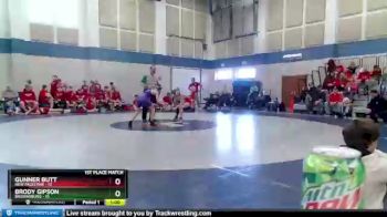102 lbs Placement (4 Team) - Brody Gipson, Brownsburg vs Gunner Butt, New Palestine