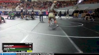 D1-215 lbs Cons. Semi - Austin Young, Casteel HS vs Aidan Odom, Corona Del Sol