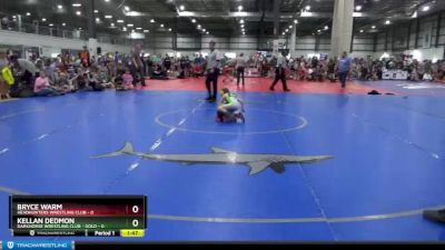 45 lbs Placement (4 Team) - Bryce Warm, HEADHUNTERS WRESTLING CLUB vs Kellan Dedmon, DARKHORSE WRESTLING CLUB - GOLD