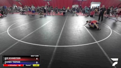 83 lbs Cons. Round 3 - Ace Schweitzer, NE vs Damien Yeoman, IA