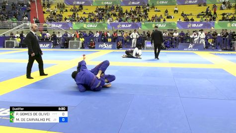 PEDRO GOMES DE OLIVEIRA vs MATHEUS DE CARVALHO PEREIRA 2024 Brasileiro Jiu-Jitsu IBJJF