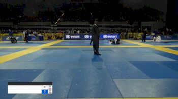 PITER FRANK ALMEIDA SILVA vs RENATO FORASIEPPI ALVES CANUTO 2019 Pan Jiu-Jitsu IBJJF Championship