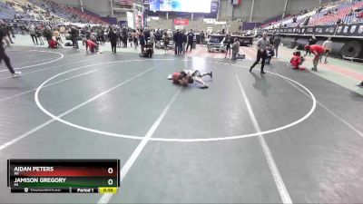 110 lbs Quarterfinal - Jamison Gregory, MI vs Aidan Peters, WI