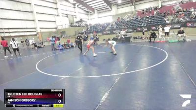 110 lbs Semifinal - Trusten Lee Douglas, OK vs Jamison Gregory, MI