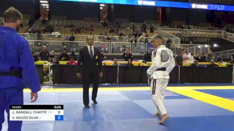 VINICIUS AGUDO SILVA vs JARED RANDA 2024 Pan Jiu Jitsu IBJJF Championship