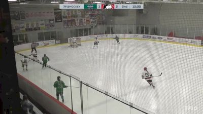 Replay: Home - 2024 Mercyhurst vs Northeastern | Mar 13 @ 6 PM