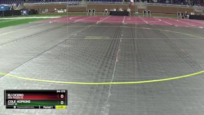 D4-175 lbs Champ. Round 1 - Cole Hopkins, Evart HS vs RJ Cicero, Erie-Mason HS