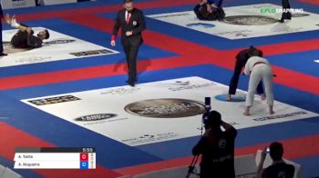 Ana Talita Alencar vs Amanda Nogueira 2018 Abu Dhabi World Professional Jiu-Jitsu Championship