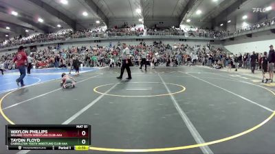 45 lbs Champ. Round 1 - Waylon Phillips, Willard Youth Wrestling Club-AAA vs Taydin Floyd, Carrollton Youth Wrestling Club-AAA