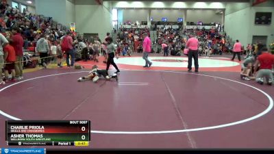 60 lbs Cons. Round 2 - Asher Thomas, Wellborn Youth Wrestling vs Charlie Priola, Skulls And Crossbones