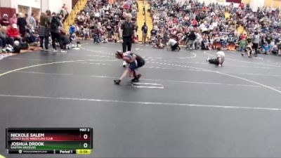 52 lbs Quarterfinal - Nickole Salem, Legacy Elite Wrestling Club vs Joshua Drook, Gaston Grizzlies