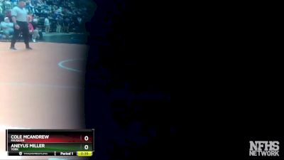 3 - 138 lbs Cons. Round 2 - Aneyus Miller, York vs Cole McAndrew, Fauquier