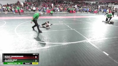 50 lbs Quarterfinal - Scout Zimmermann, Marshfield vs Allison Holt, Northwestern