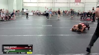 113 lbs Quarterfinal - Cole Schisler, ``The Cage vs Mason Whitney, Mat Assassins