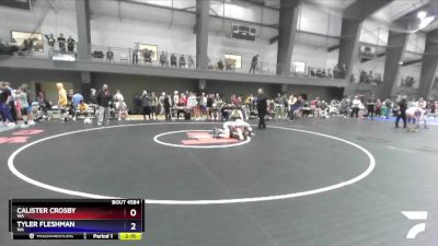 138 lbs Cons. Round 4 - Calister Crosby, WA vs Tyler Fleshman, WA