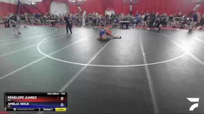 110 lbs Round 1 - Penelope Juarez, WI vs Amelia Walk, IA