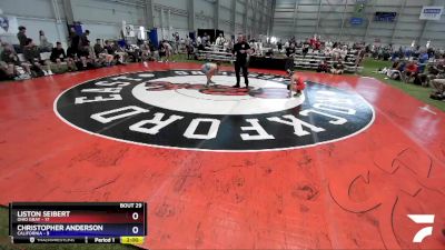 106 lbs Placement Matches (16 Team) - Liston Seibert, Ohio Gray vs Christopher Anderson, California