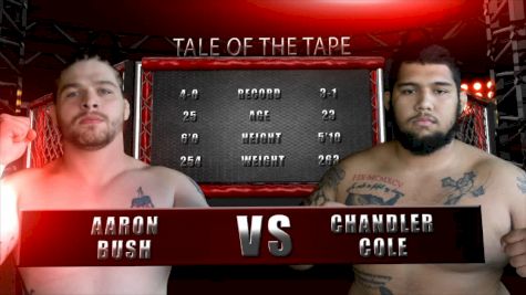 Chandler Cole vs. Aaron Bush - Valor Fights 51 Replay