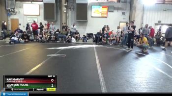 110 lbs Round 2 - Grayson Fuchs, POWA vs Kavi Garvey, PA Alliance White