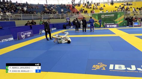 FELIPE ABREU JANUÁRIO vs PABLO DIAS DE ARAUJO 2024 Brasileiro Jiu-Jitsu IBJJF
